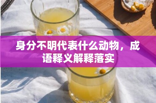 身分不明代表什么动物，成语释义解释落实