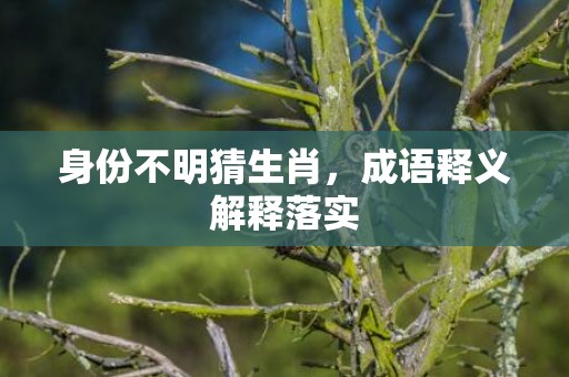 身份不明猜生肖，成语释义解释落实