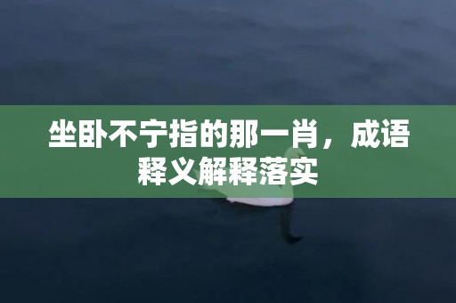 坐卧不宁指的那一肖，成语释义解释落实