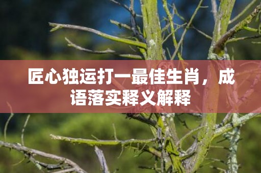 匠心独运打一最佳生肖，成语落实释义解释