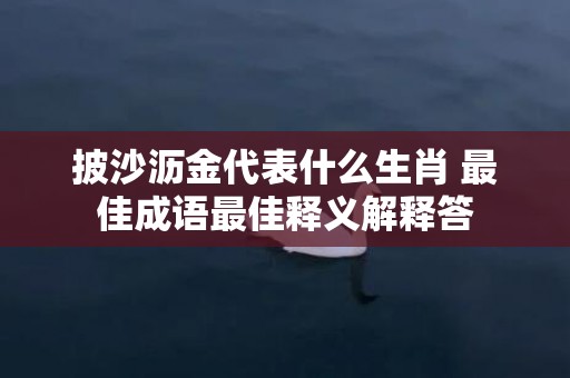 披沙沥金代表什么生肖 最佳成语最佳释义解释答