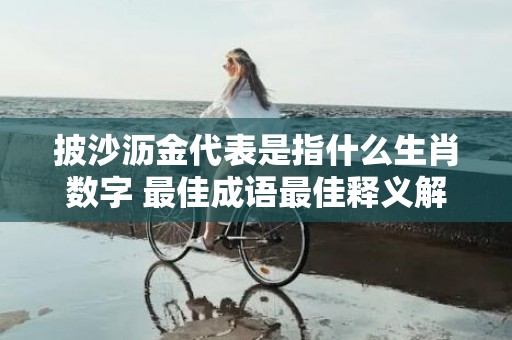 披沙沥金代表是指什么生肖数字 最佳成语最佳释义解释答插图