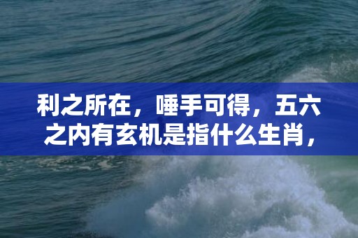 利之所在，唾手可得，五六之内有玄机是指什么生肖，成语释义解释落实插图