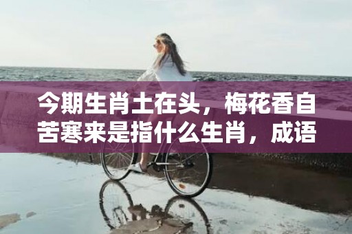 今期生肖土在头，梅花香自苦寒来是指什么生肖，成语释义解释落实插图