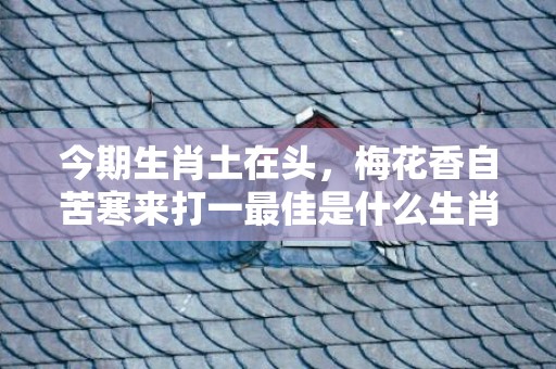 今期生肖土在头，梅花香自苦寒来打一最佳是什么生肖,释义成语解释落实插图