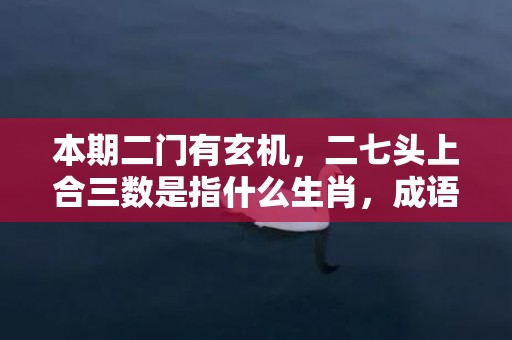 本期二门有玄机，二七头上合三数是指什么生肖，成语释义解释落实插图