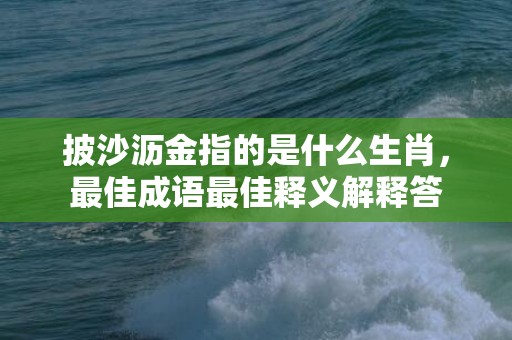 披沙沥金指的是什么生肖，最佳成语最佳释义解释答