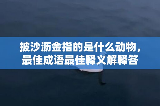 披沙沥金指的是什么动物，最佳成语最佳释义解释答