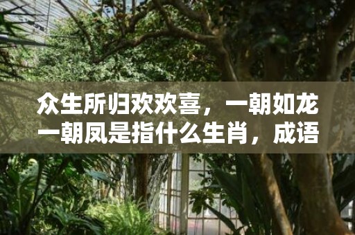 众生所归欢欢喜，一朝如龙一朝凤是指什么生肖，成语释义解释落实插图