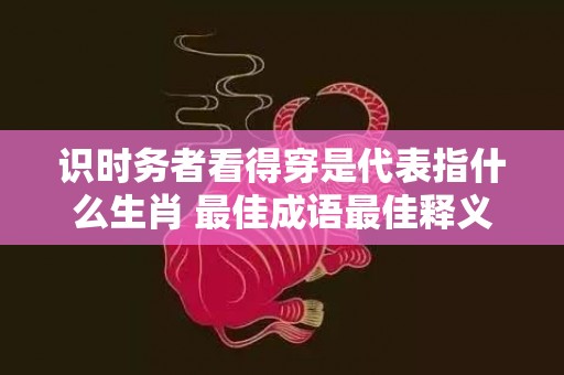 识时务者看得穿是代表指什么生肖 最佳成语最佳释义解释答