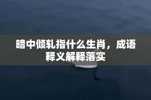 暗中倾轧指什么生肖，成语释义解释落实插图