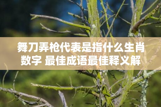 舞刀弄枪代表是指什么生肖数字 最佳成语最佳释义解释答插图