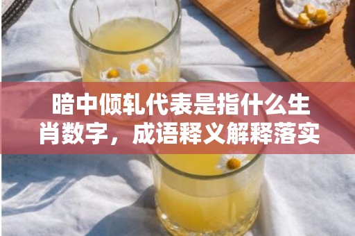  暗中倾轧代表是指什么生肖数字，成语释义解释落实