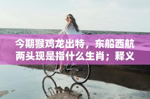 今期猴鸡龙出特，东船西航两头现是指什么生肖；释义成语解释落实