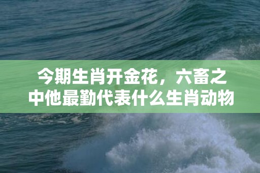  今期生肖开金花，六畜之中他最勤代表什么生肖动物，成语释义解释落实