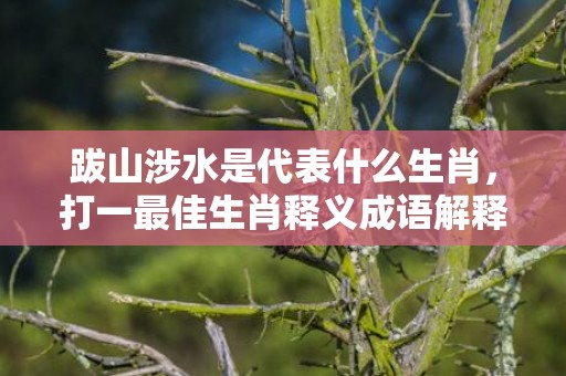 跋山涉水是代表什么生肖，打一最佳生肖释义成语解释落实