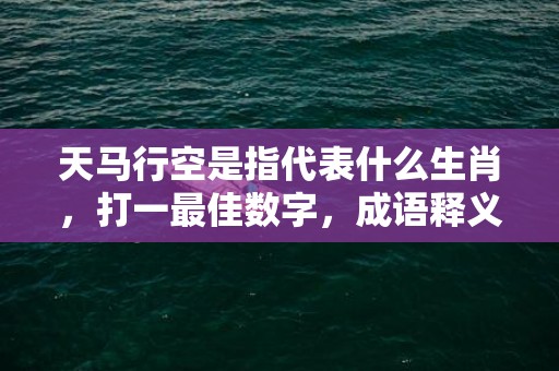 天马行空是指代表什么生肖，打一最佳数字，成语释义解释落实、最佳释义解释答