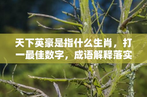 天下英豪是指什么生肖，打一最佳数字，成语解释落实释义插图