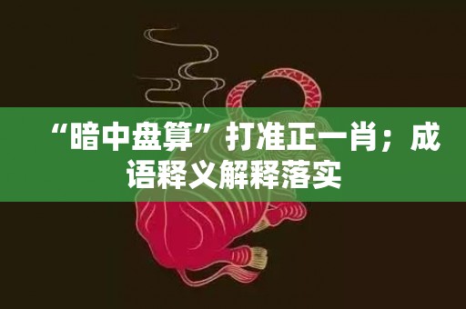 “暗中盘算”打准正一肖；成语释义解释落实插图