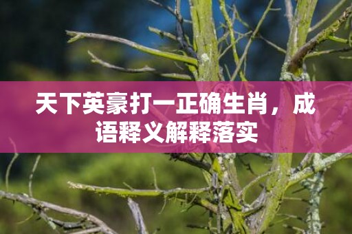 天下英豪打一正确生肖，成语释义解释落实插图