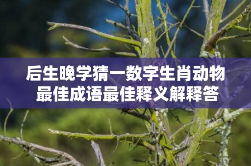 后生晚学猜一数字生肖动物 最佳成语最佳释义解释答插图