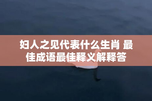 妇人之见代表什么生肖 最佳成语最佳释义解释答插图