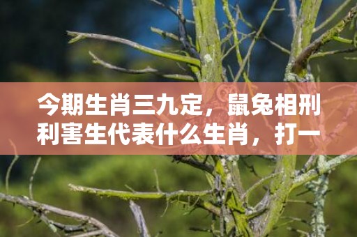 今期生肖三九定，鼠兔相刑利害生代表什么生肖，打一最佳生肖数字，成语释义落实解释