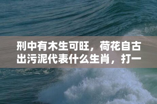 刑中有木生可旺，荷花自古出污泥代表什么生肖，打一最佳生肖数字