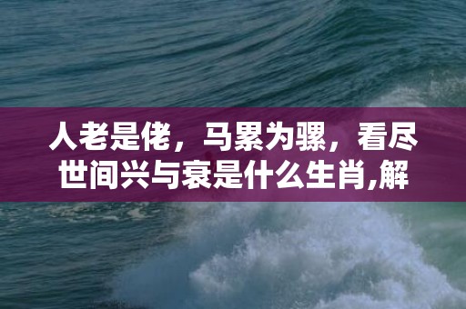 人老是佬，马累为骡，看尽世间兴与衰是什么生肖,解释落实释义成语