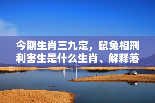 今期生肖三九定，鼠兔相刑利害生是什么生肖、解释落实释义成语