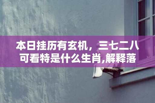 本日挂历有玄机，三七二八可看特是什么生肖,解释落实释义成语