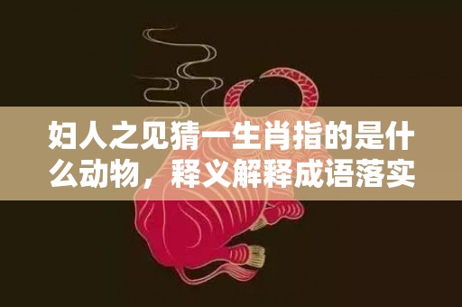 妇人之见猜一生肖指的是什么动物，释义解释成语落实插图