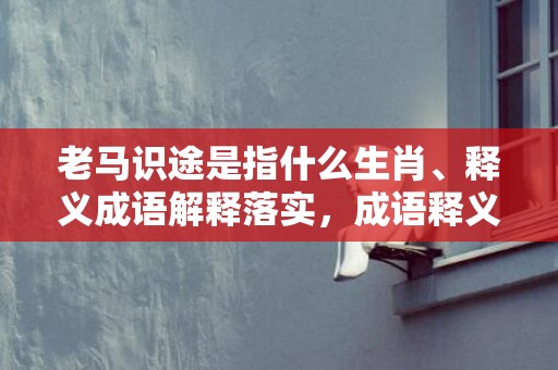 老马识途是指什么生肖、释义成语解释落实，成语释义解释落实