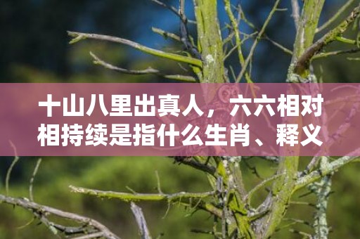 十山八里出真人，六六相对相持续是指什么生肖、释义成语解释落实