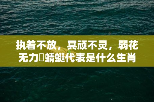 执着不放，冥顽不灵，弱花无力繫蜻蜓代表是什么生肖，成语释义解释落实