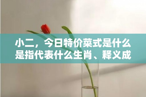 小二，今日特价菜式是什么是指代表什么生肖、释义成语解释落实