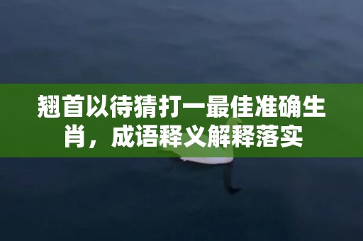 翘首以待猜打一最佳准确生肖，成语释义解释落实插图