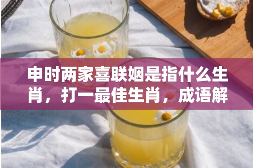 申时两家喜联姻是指什么生肖，打一最佳生肖，成语解释落实释义