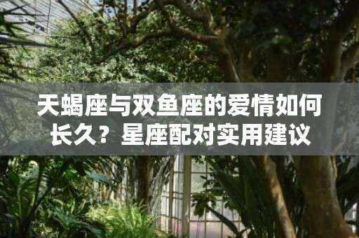 天蝎座与双鱼座的爱情如何长久？星座配对实用建议