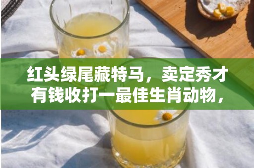 红头绿尾藏特马，卖定秀才有钱收打一最佳生肖动物，成语释义解释落实