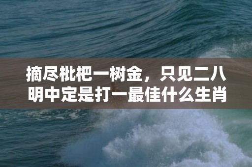 摘尽枇杷一树金，只见二八明中定是打一最佳什么生肖“最佳释义解释答”