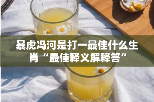 暴虎冯河是打一最佳什么生肖“最佳释义解释答”