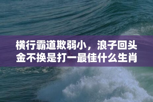 横行霸道欺弱小，浪子回头金不换是打一最佳什么生肖“最佳释义解释答”