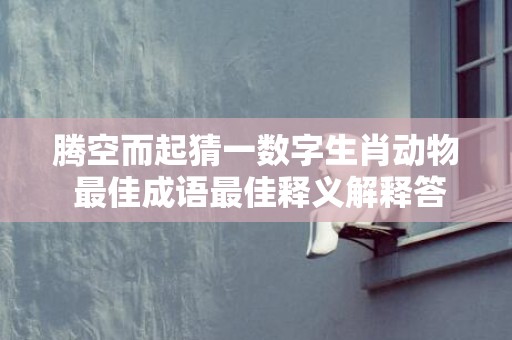 腾空而起猜一数字生肖动物 最佳成语最佳释义解释答插图