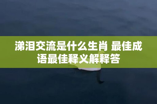 涕泪交流是什么生肖 最佳成语最佳释义解释答插图