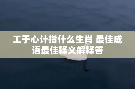 工于心计指什么生肖 最佳成语最佳释义解释答