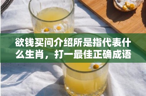 欲钱买问介绍所是指代表什么生肖，打一最佳正确成语释义解释落实插图