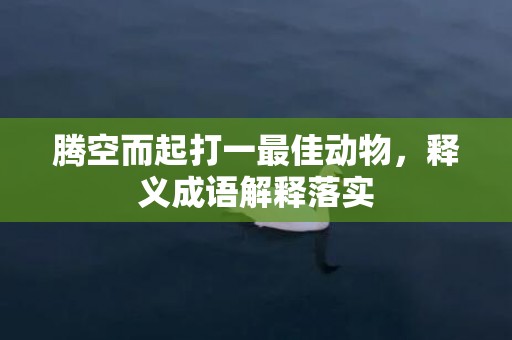 腾空而起打一最佳动物，释义成语解释落实插图