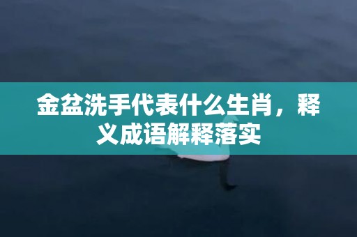 金盆洗手代表什么生肖，释义成语解释落实插图