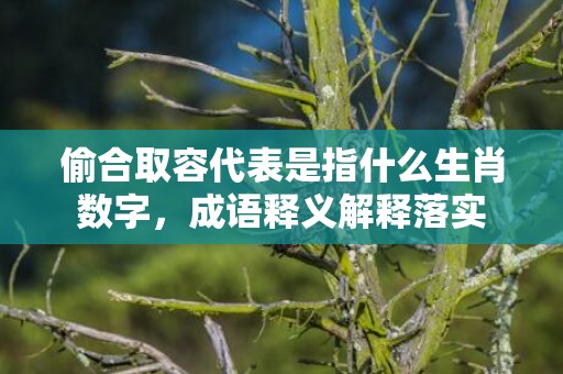 偷合取容代表是指什么生肖数字，成语释义解释落实插图